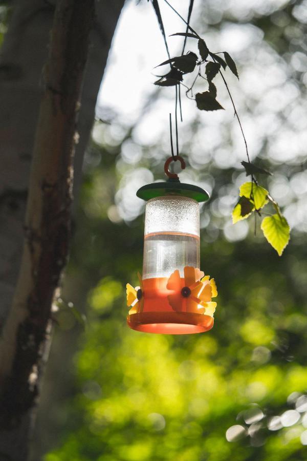 El Colibri Cabanas De La Naturaleza Trelew Zewnętrze zdjęcie