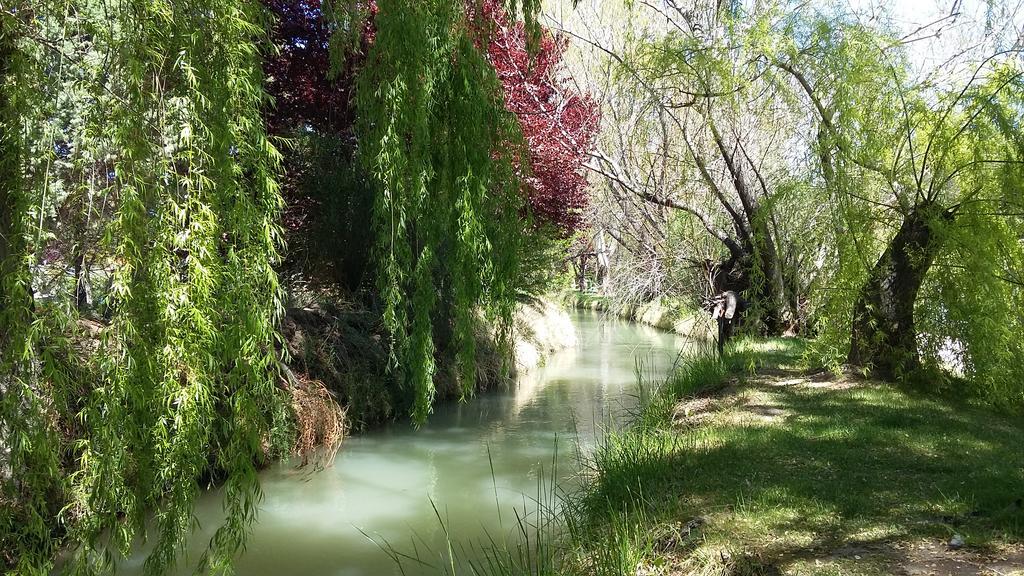 El Colibri Cabanas De La Naturaleza Trelew Zewnętrze zdjęcie